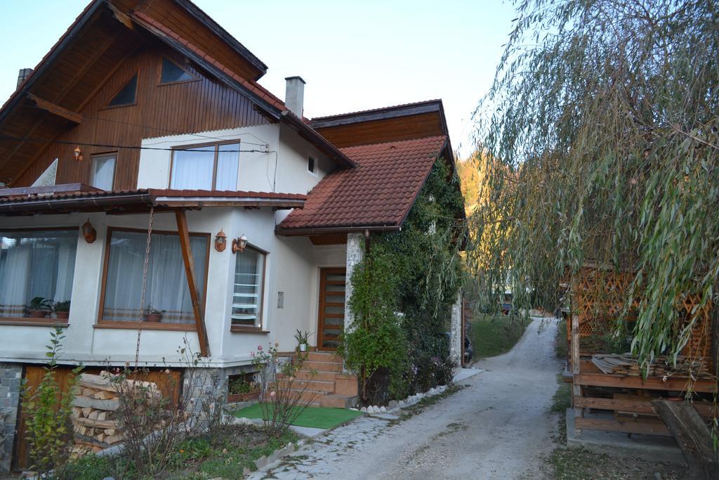 Pensiunea Dor De Munte Bran  Bagian luar foto